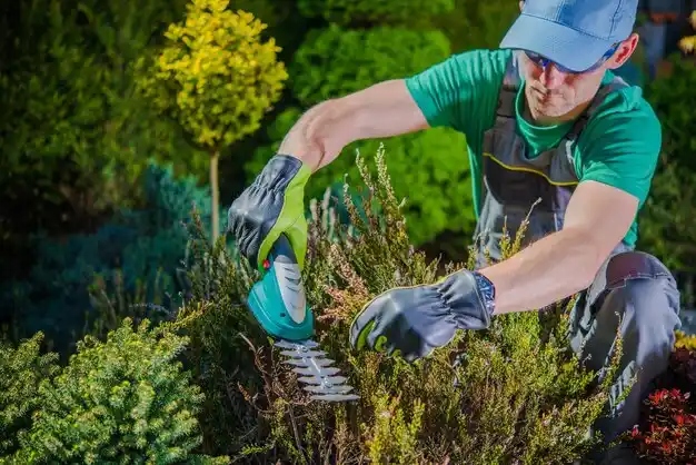 landscaping services Cedar Hill